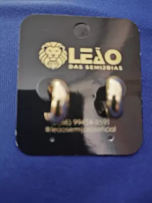641173 Brinco Argola Grossa Pequena – Leão das Semijoias